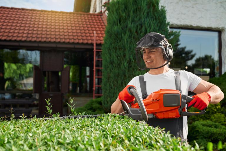 landscaping