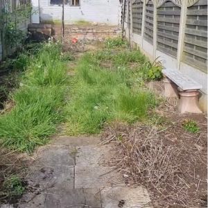 before garden