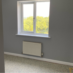 Interior Painting & Decorating Case Study